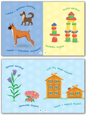 Книжка-картинка «Такие разные размеры» для детей до 3 лет купить онлайн |  Вако