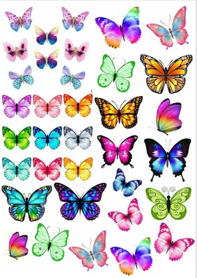 Вафельная картинка Бабочки 10 вариантов | Съедобные картинки Бабочки |  Бабочки разные Формат А4 (ID#1199251329), цена: 70 ₴, купить на Prom.ua