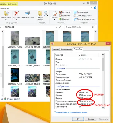 Размер и разрешение фотографии | Teoriya.ru