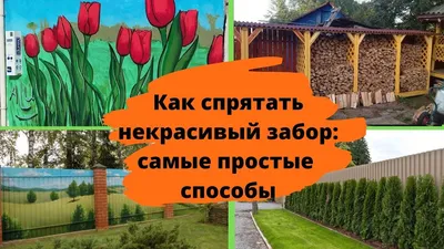 Ограда на даче: как её украсить - Realto.ru