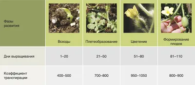 Советы учителя-дефектолога. Государственное учреждение образования  \"Санаторный детский сад №26 г. Гомеля\"