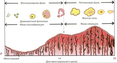 Calaméo - Образование Смоленщины. Опыт и инновационные решения  информационно-библиотечного пространства