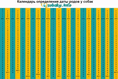 Эмбриональное развитие нервной системы позвоночных