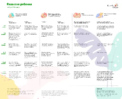 Экстракорпоральное оплодотворение: этапы по дням цикла - статья  репродуктивного центра «За Рождение»