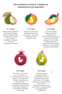 Беременность 4 недели: что происходит, ощущения в животе, признаки, развитие  плода, УЗИ | Четвертая акушерская неделя беременности