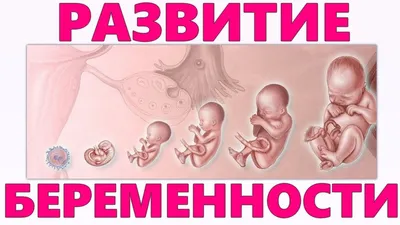 32-я акушерская неделя беременности: особенности срока, проблемы