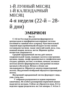 Развитие беременности по неделям: календарь самых важных событий | Для мам  и малышей | Дзен