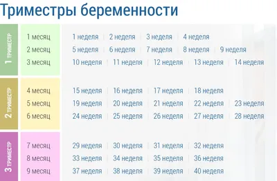 17-я неделя беременности, вес ребенка, фото, календарь беремености |  Мамоведия - о здоровье и развитии ребенка