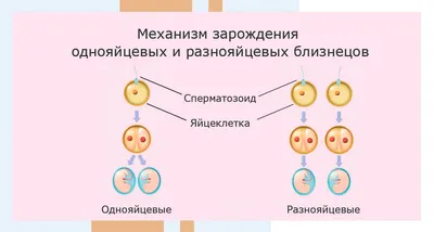 Прощай, мой маленький» | Такие Дела