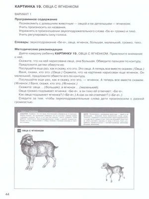 Про развитие речи. Почему дети с задержкой речевого развития в будущем  могут развиваться хуже, чем их сверстники | Записки дефектолога. Пусть все  дети будут умненькими... | Дзен