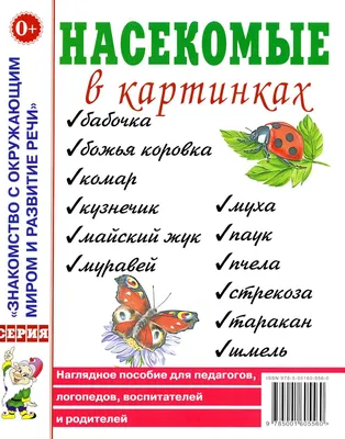 Изображение Личинки Стрекозы Высушенной На Зеленых Листьях Насекомое  Животное — стоковые фотографии и другие картинки Велосипед - iStock