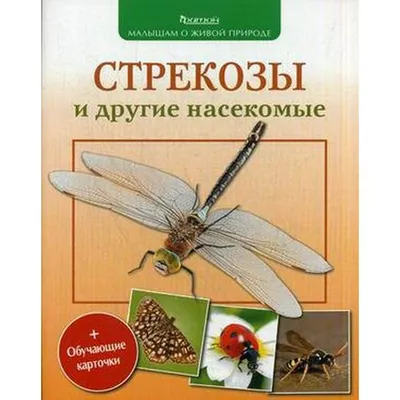 🔰Развитие речи по теме:\"Насекомые\"🔰 | Наталья Логопед | Дзен