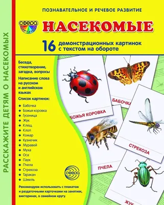 Демонстрационные картинки СУПЕР Насекомые 16 картинок с текстом - купить с  доставкой по выгодным ценам в интернет-магазине OZON (864869286)