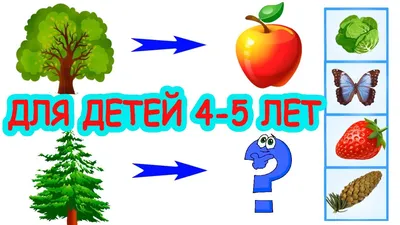 Для детей 4-5 лет развивающие мультики тесты. Головоломки для детей -  YouTube