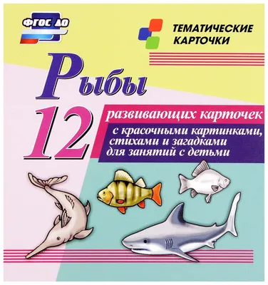 Книга Русское Слово Одежда обувь головные уборы. 40 дидактических карточек  купить по цене 501 ₽ в интернет-магазине Детский мир