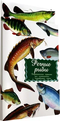 Какие 3 речные рыбы являются самыми полезными | Хитрости Рыбака | Дзен