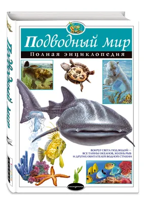 Рыбы с названиями для детей: морские, речные, хищные