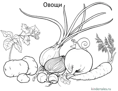 Окраска страницы Наброски мультяшных овощей. Капуста, морковь, свекла и  редиска. Раскраска для детей . Векторное изображение ©Oleon17 332783020