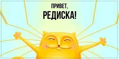 Редиска — раскраска для детей. Распечатать бесплатно.