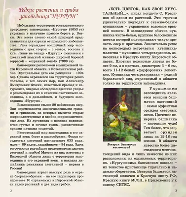 Народная газета Сочи - В Сочинском нацпарке обнаружили редчайшее растение в  России В труднодоступных скалистых местах сохранились редкие краснокнижные  растения. В частности, речь идет об уникальном растении «молочай  миртолистный» (Euphorbia myrsinites L.).