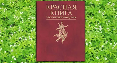 Редкие байкальские лекарственные растения будут выращивать в промышленных  масштабах