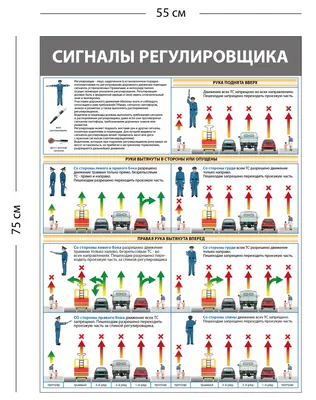 Урок окружающего мира с презентацией. 3-й класс. Тема: \"Дорожные знаки\"