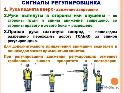 Мобильный тренажерный комплекс \"Регулировщик ОПДД-01\" (для обучения  правилам дорожного движения детей с ограниченными возможностями) (раздел  «Специализированное оборудование») | Купить учебное оборудование по  доступным ценам в ПО «Зарница»