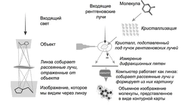 Лучи Вильгельма Рентгена