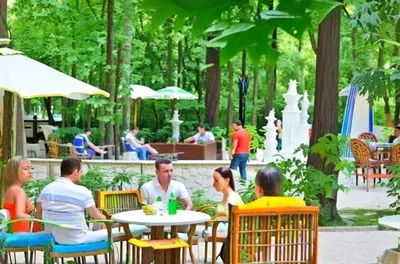 Дача, Одесса - фото ресторана - Tripadvisor | Ресторан, Дача, Одесса