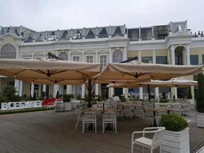 Рестораны и кафе в Сочи — ТОП 20 мест где вкусно поесть