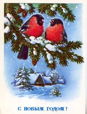 Рассматривая старые новогодние открытки (3) Частная жизнь снеговиков |  Пикабу
