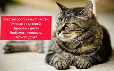 Рецепт счастья»... - М.П.Студия - наборы для вышивания | Facebook