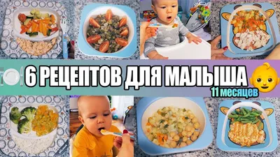 Полезные завтраки для детей: лучшие рецепты