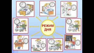 Режим дня ребенка в 2 года - Режим дня для ребенка 6 месяцев