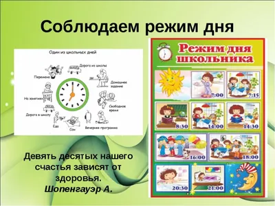 Почему для детей важен режим дня, и можно ли без него обойтись – Москва 24,  15.11.2021