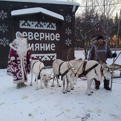 Музей Деда Мороза на колесах открыли на железнодорожной станции в Карелии  (ФОТО) | СТОЛИЦА на Онего