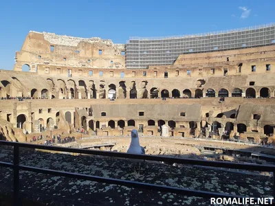 Нравственное разложение как причина коррупции в Древнем Риме