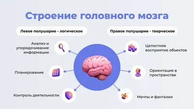 Рисование двумя руками: Польза для интеллекта | ВКонтакте