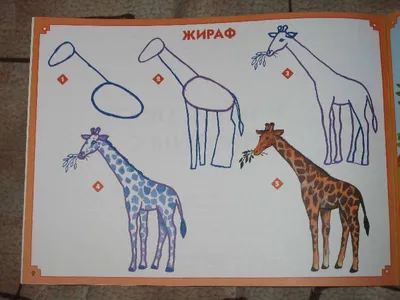 Как быстро научить детей рисовать животных (4 фото). Воспитателям детских  садов, школьным учителям и педагогам - Маам.ру