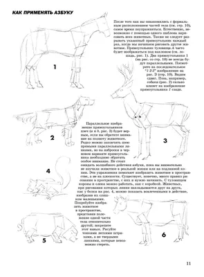 Как Нарисовать Животных Сову для Детей🦉Рисуем Рисунки Своими Руками. Уроки  Рисования для Начинающих - YouTube