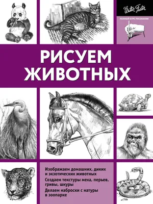 Книга Как Рисовать Животных – купить в Москве, цены в интернет-магазинах на  Мегамаркет