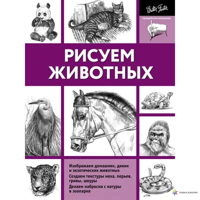 Книжка для рисования водой «Рисуем животных», с маркером (4498255) - Купить  по цене от 129.00 руб. | Интернет магазин SIMA-LAND.RU