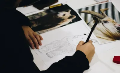 Как легко и быстро научиться рисовать человека - Подробный гайд