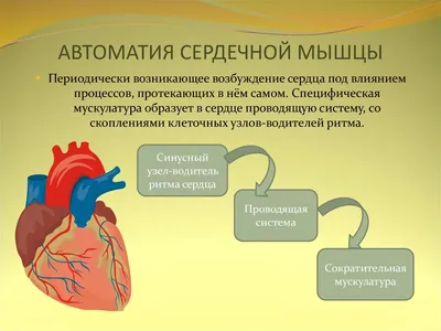 Обработка сердца слушать ритм сердца Стоковое Фото - изображение  насчитывающей пилюлька, пилюльки: 182753994