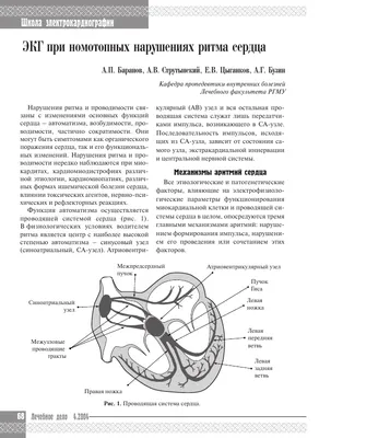 Миниатюрный «Кардиопластырь» измерит ритм сердца вместо холтера -  ФармМедПром