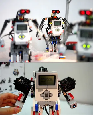 Робототехника как перспективное направление детского развития | Общество  (апрель 2021) | Общество