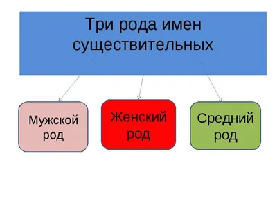 Род имен существительных в русском языке |