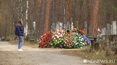 Счастливый Родительский День На Природе — стоковая векторная графика и  другие изображения на тему Векторная графика - Векторная графика, Девочки,  Детство - iStock