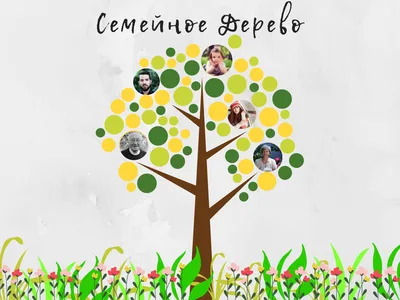 Как оформить родословное дерево с Canva | Генеалогия для всей семьи