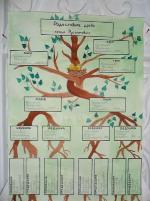 Нарисовать генеалогическое древо династии - Портреты и шаржи по фотографии  в Уфе